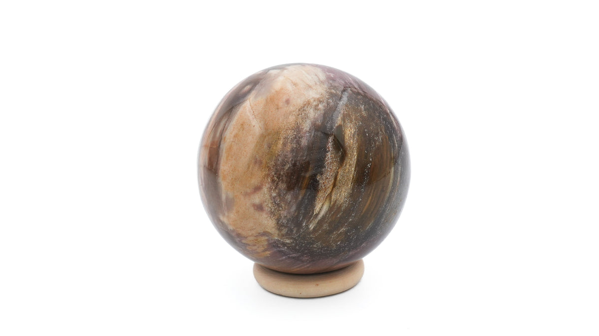 sphère de bois fossile avec base sur fond blanc
