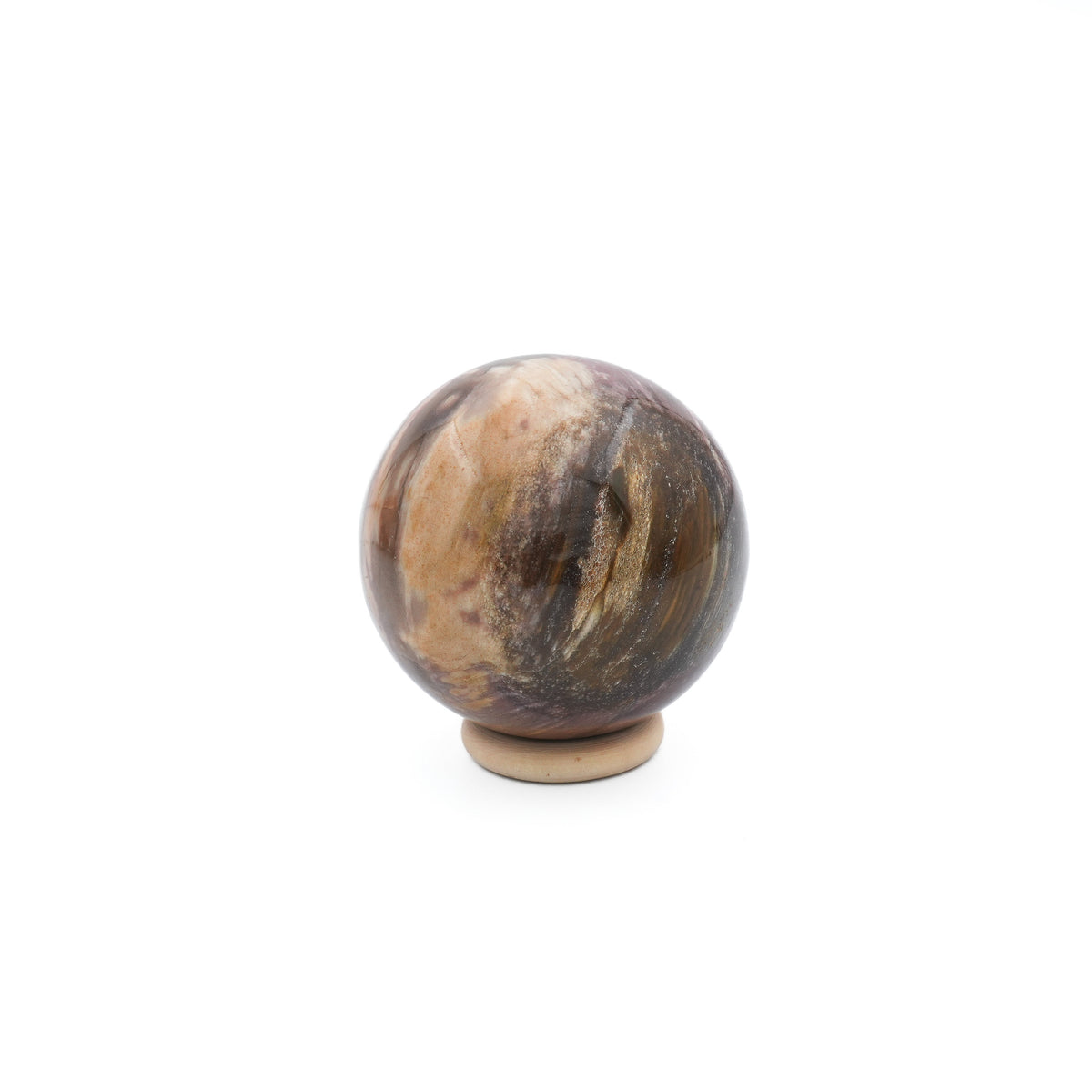 sphère de bois fossile avec base sur fond blanc
