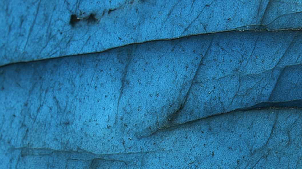 labradorite vertus et propriétés