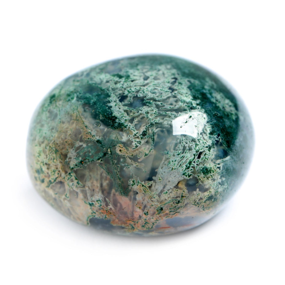 une agate mousse avec de belles inclusions végétales sur fond blanc