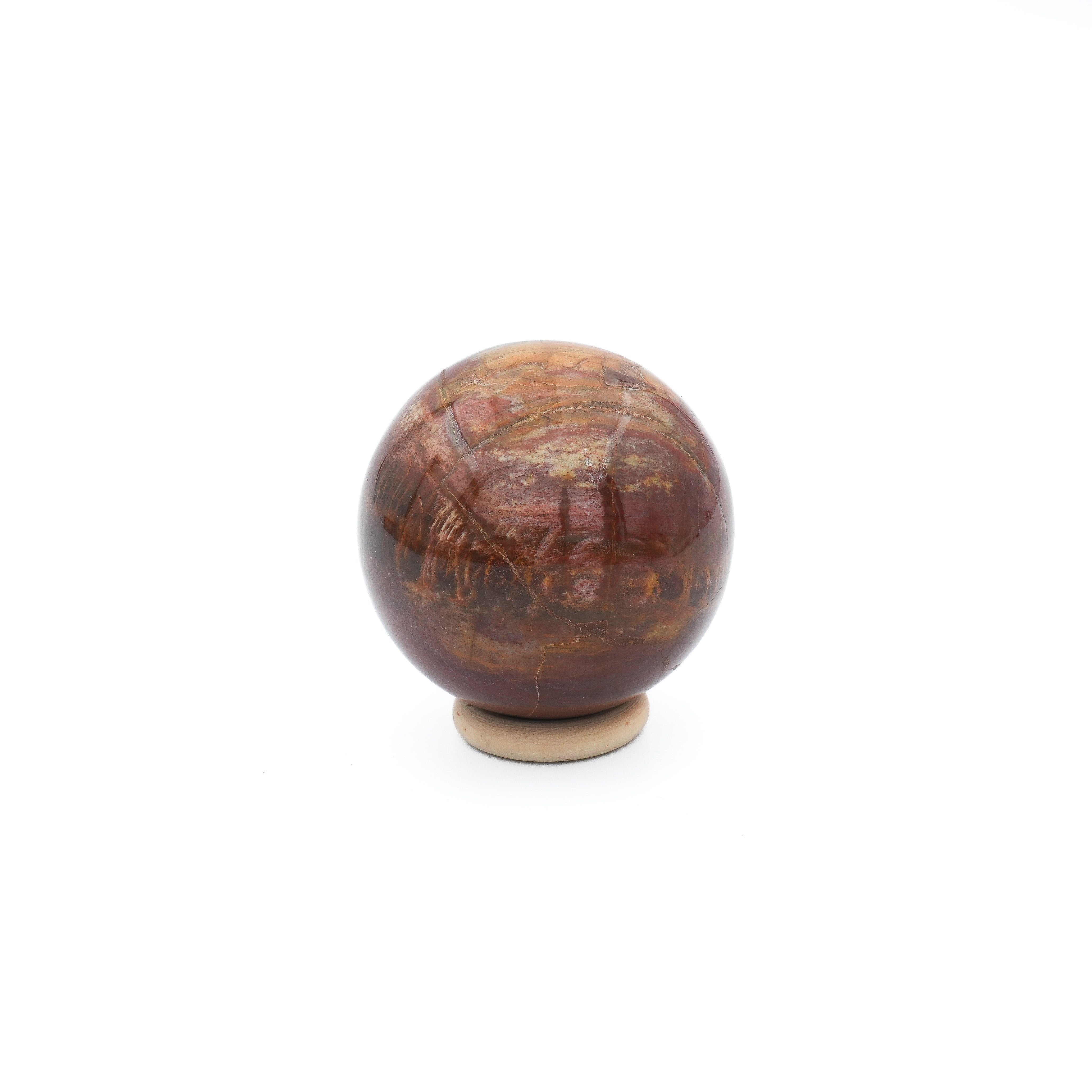 Sphère Bois Fossilisé