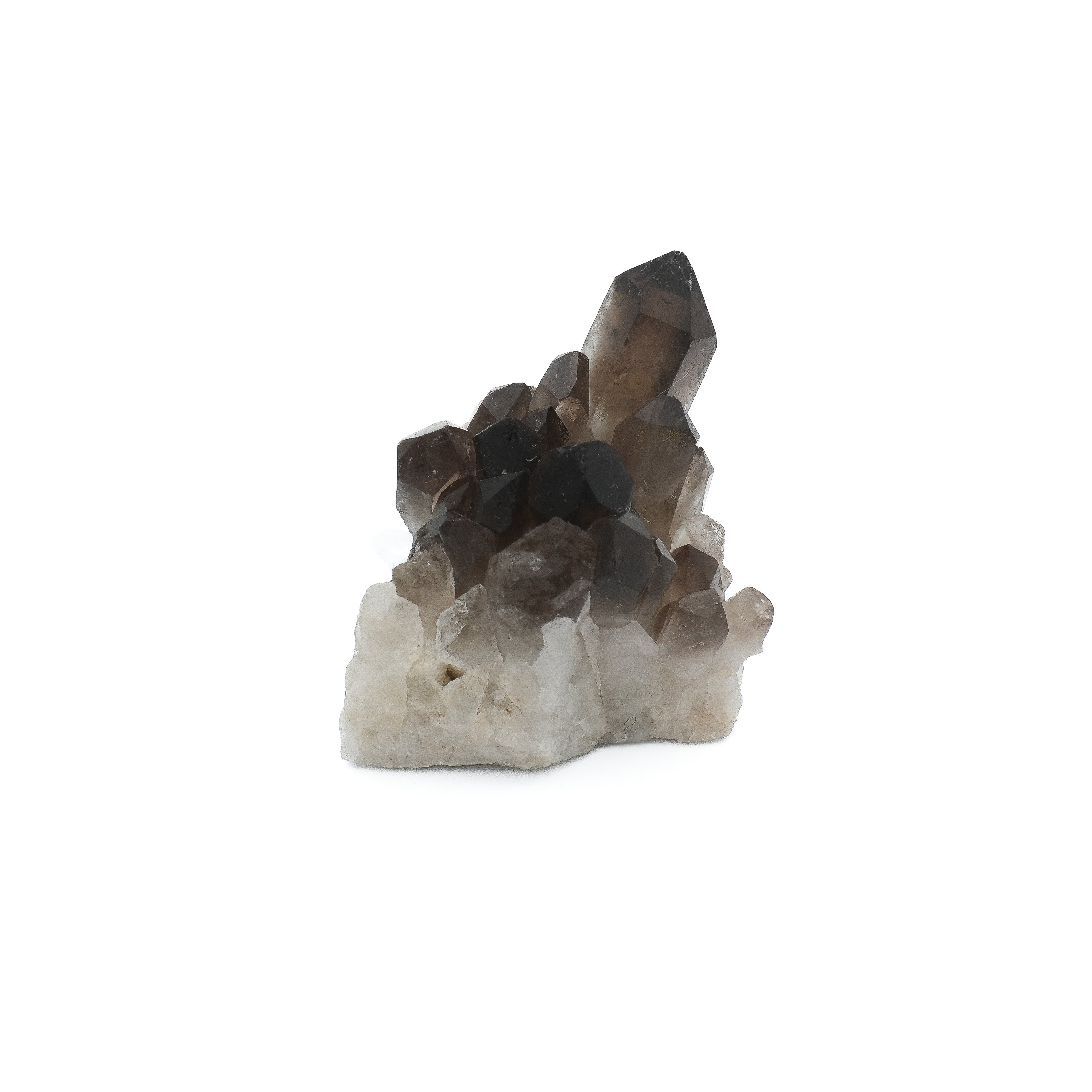 Druse Quartz fumé Brésil