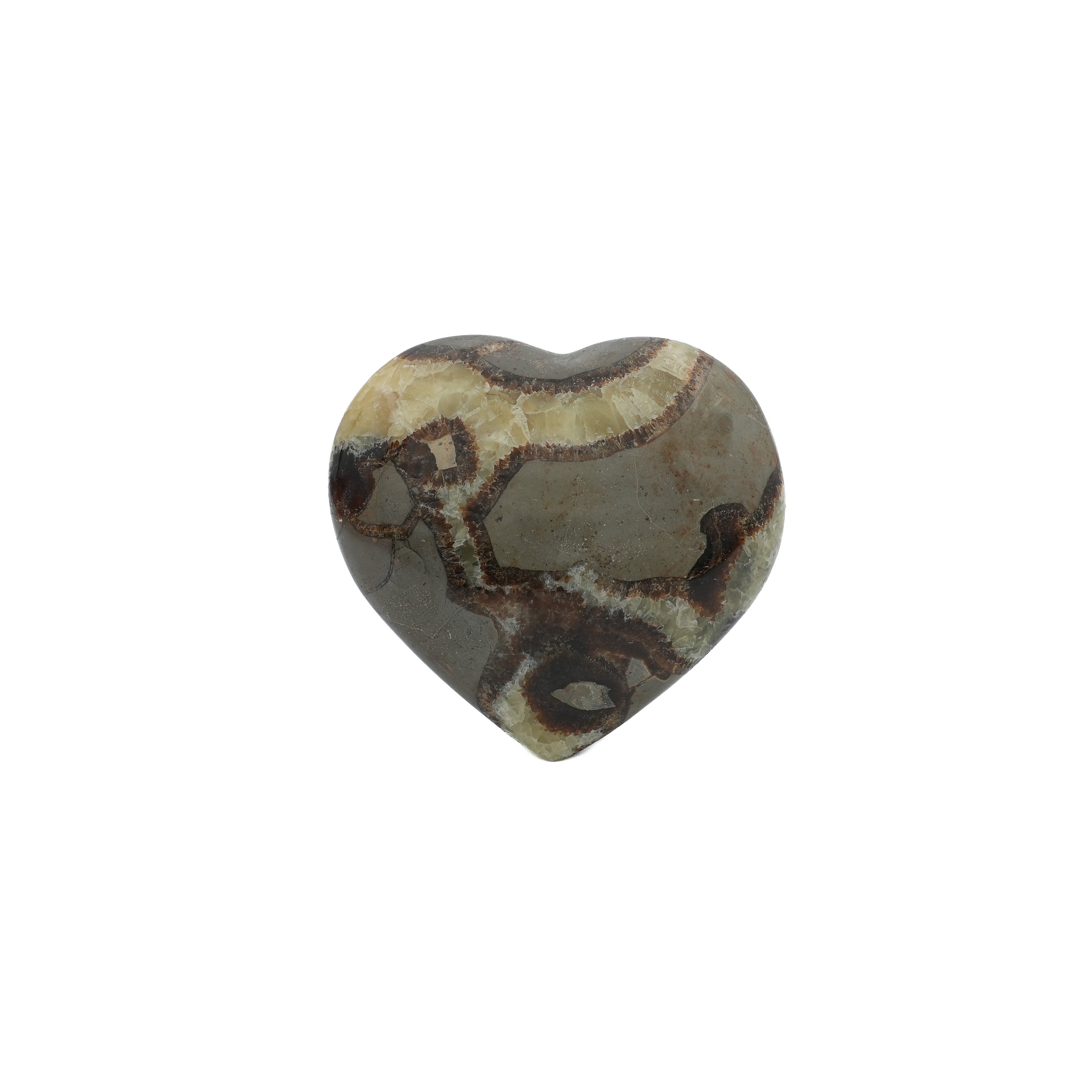 Coeur Septaria