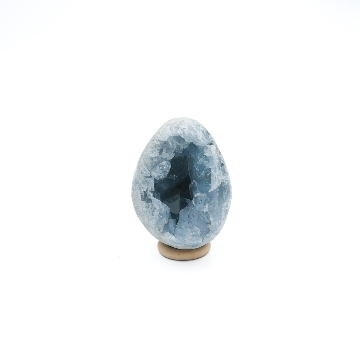 oeuf de celestine sur fond blanc 