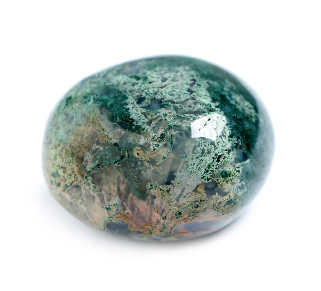 une agate mousse avec de belles inclusions végétales sur fond blanc